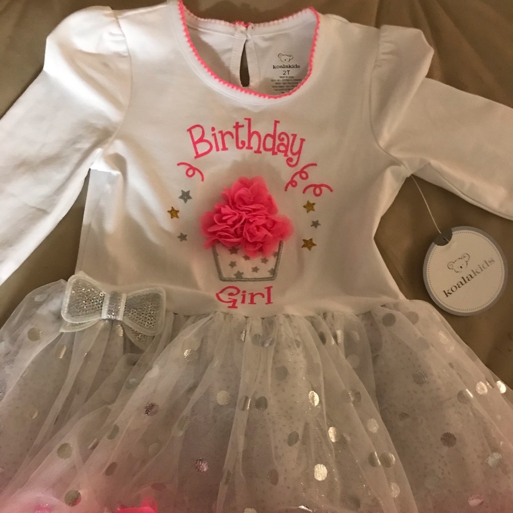 Birthday Girl Pink Long Sleeve Party Dress NWT